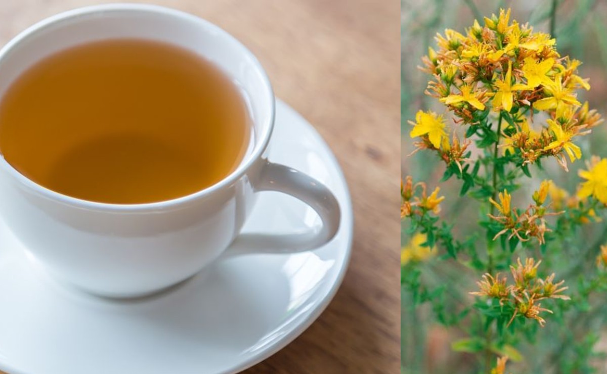 Beneficios del té de pericón - Chapin Radios